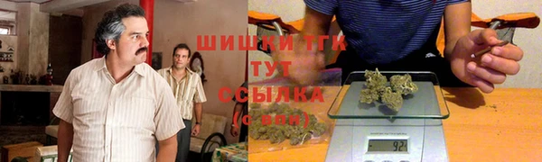 амф Мегион