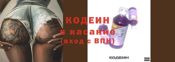шишки Саяногорск