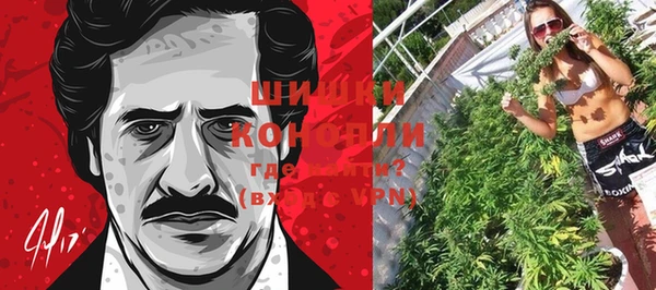 амф Мегион