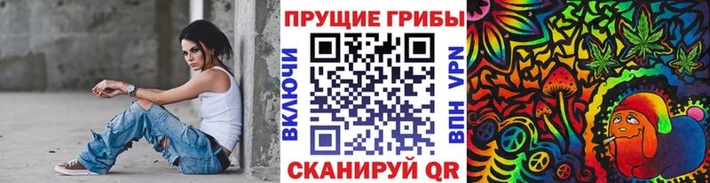 сколько стоит  Костерёво  Псилоцибиновые грибы мицелий 