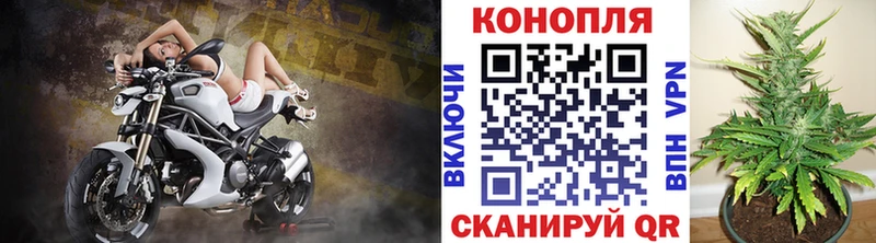 OMG маркетплейс  Костерёво  МАРИХУАНА тримм 